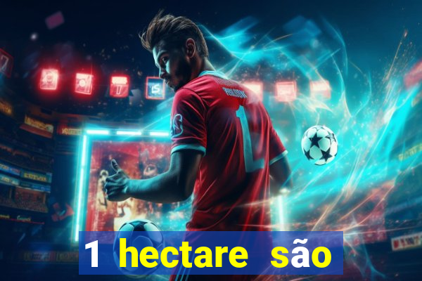 1 hectare são quantas tarefas na bahia